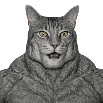 pepcat looking shocked