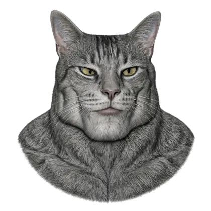 pepcat giving side-eye